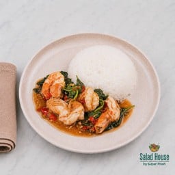 ข้าวกะเพรา กุ้ง | Salad House