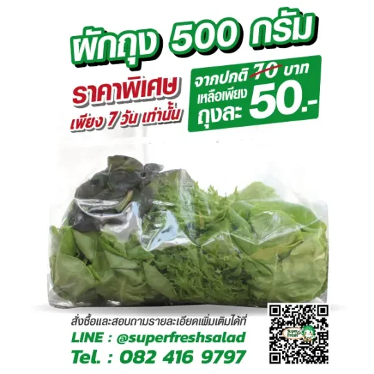 ผักสลัดรวม 500 กรัม | Super Fresh