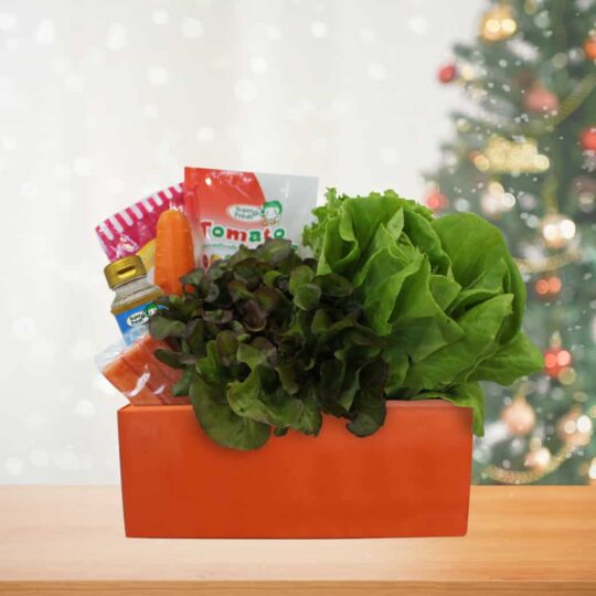 กระเช้าสุขภาพ Healthy Basket Set E | Super Fresh