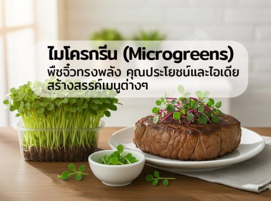 microgreen-top