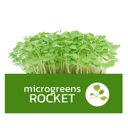 Microgreens Rocket | Super Fresh